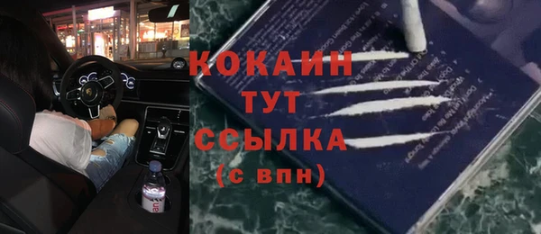 сатива Зеленокумск