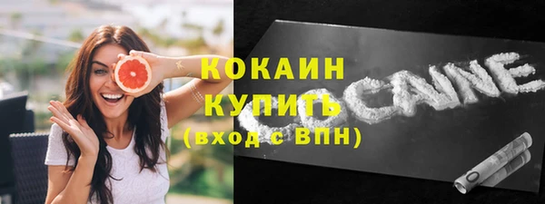 сатива Зеленокумск