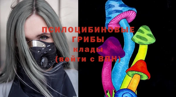 герыч Зерноград