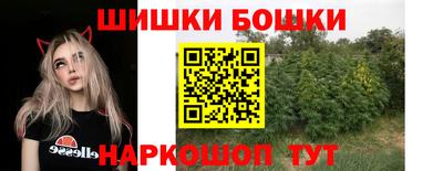соль ск Камышлов