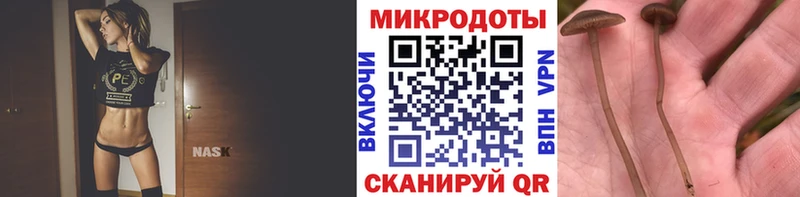 Псилоцибиновые грибы прущие грибы  Солнечногорск 