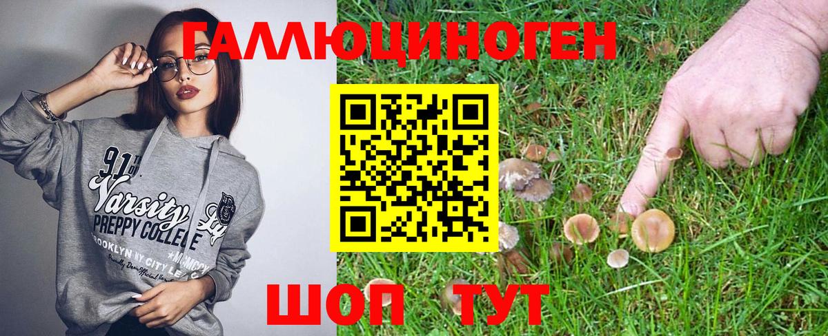 Галлюциногенные грибы прущие грибы  Солнечногорск  Псилоцибиновые грибы GOLDEN TEACHER 