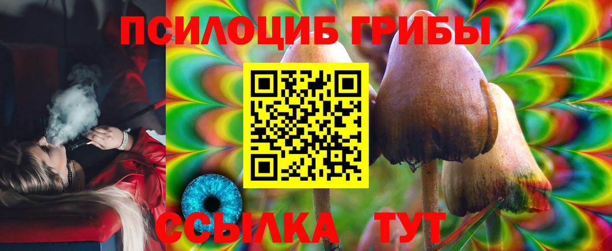 где купить   Псилоцибиновые грибы Magic Shrooms  Вход с VPN  Солнечногорск  Псилоцибиновые грибы прущие грибы 